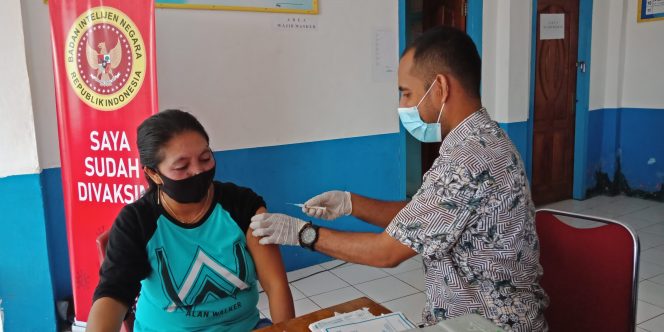 
 BIN Gelar Vaksinasi Massal, Sasar Desa dan Kelurahan di Butur