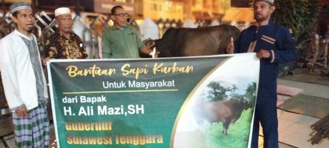 
 Salah satu panitia di daerah yang telah menerima penyaluran hewan kurban Gubernur Sultra H Ali Mazi SH.