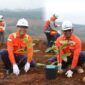 Chief Operationg Officer (COO) PT Vale Abu Ashar (kiri) dan Director Environment & Permit Management Muh. Adli Lubis (kanan) saat melakukan penanaman pohon.