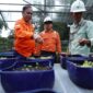 Komisaris PT Vale Indonesia saat berkunjung ke nursery