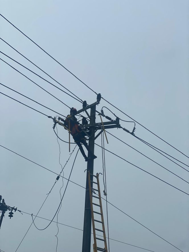
PT PLN ULP Unahaa Lakukan Pemeliharaan Infrastruktur Jaringan Listrik 20 KV