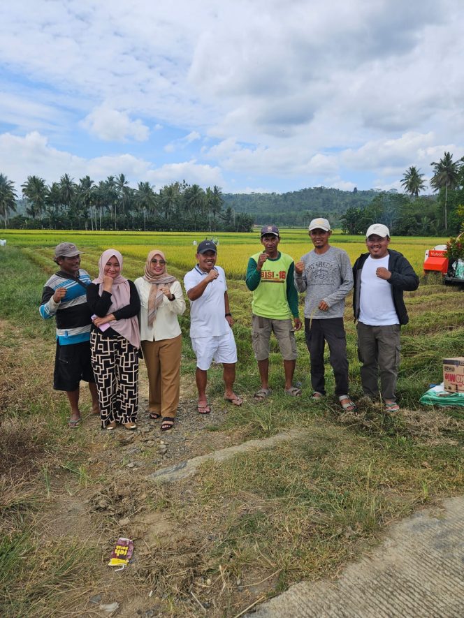 
 Pjs Bupati Pantau Proses Panen di Atula