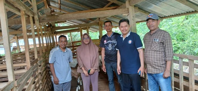 
 Tim Kosabangsa USN dan UHO Laksanakan Pendampingan Pemasaran Produk Ternak Kambing di Tandebura