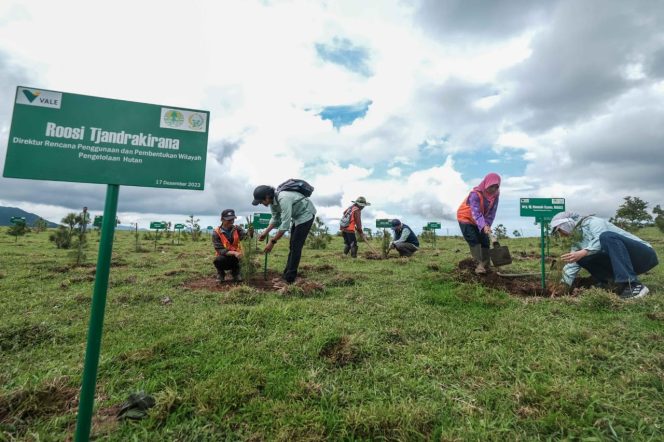 
Hadirkan Masa Depan Berkelanjutan, PT Vale Dukung Rehabilitasi DAS di Sulawesi Selatan