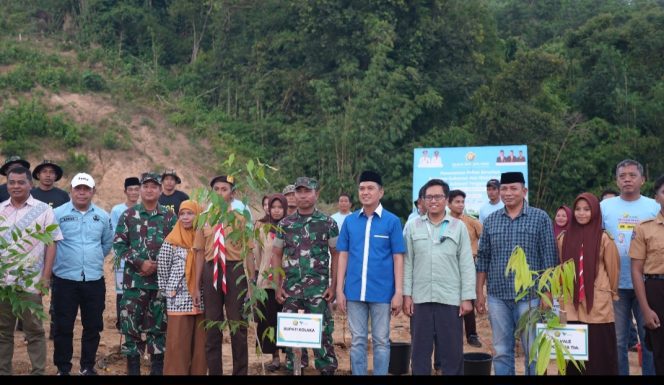 
PT Vale IGP Pomalaa Kolaborasi dengan Gubernur Sultra Tanam Pohon Serentak untuk Ketahanan Pangan dan Masa Depan Bumi