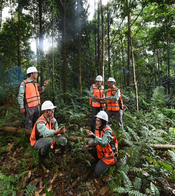 
Komitmen Pada Keberlanjutan, PT Vale Hijaukan Area Bekas Tambang