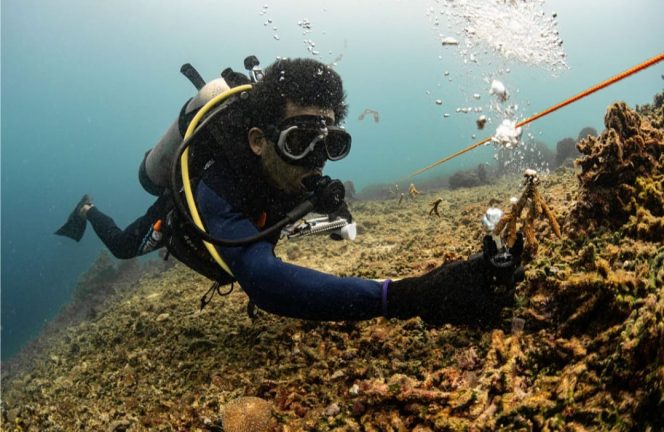 
Dari menanam hingga memantau, PT Vale, TNI AL, dan masyarakat bersatu dalam aksi nyata untuk memulihkan laut Indonesia