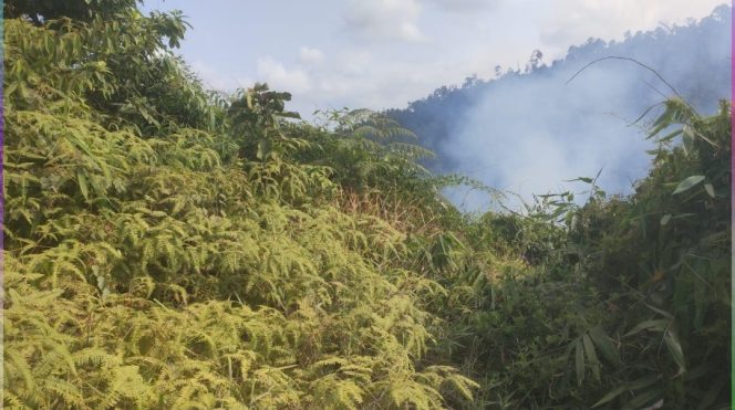 
 GAKKUM Tegaskan Petani Wajib Patuh Aturan Penggunaan Kawasan Hutan