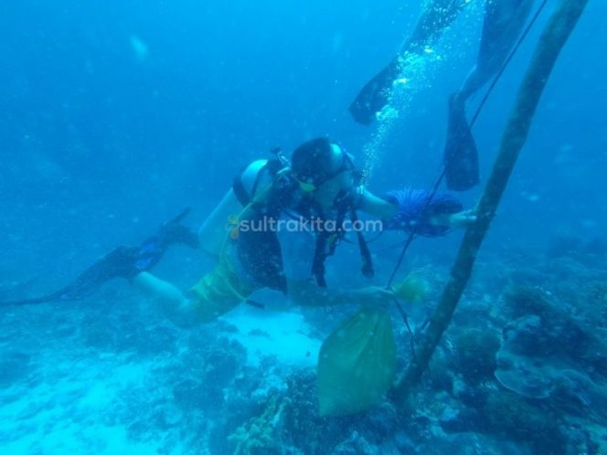 
Peringati HUT RI, Upacara Bawah Laut Akan Digelar